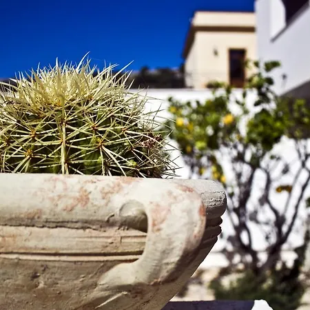 Poseidon * San Vito Lo Capo